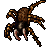 Tarantulas